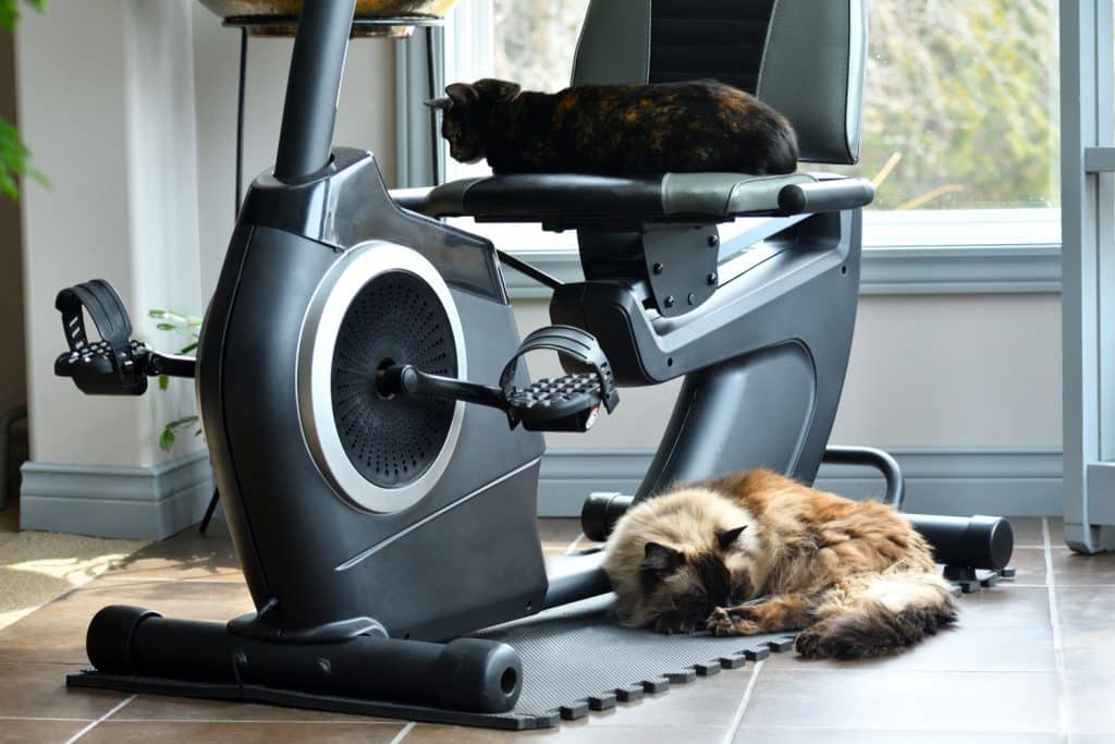 what is the best recumbent bike for home use
