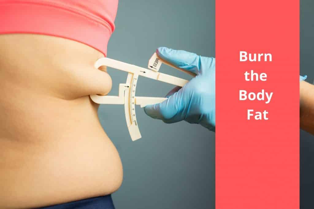 does elliptical burn belly fat