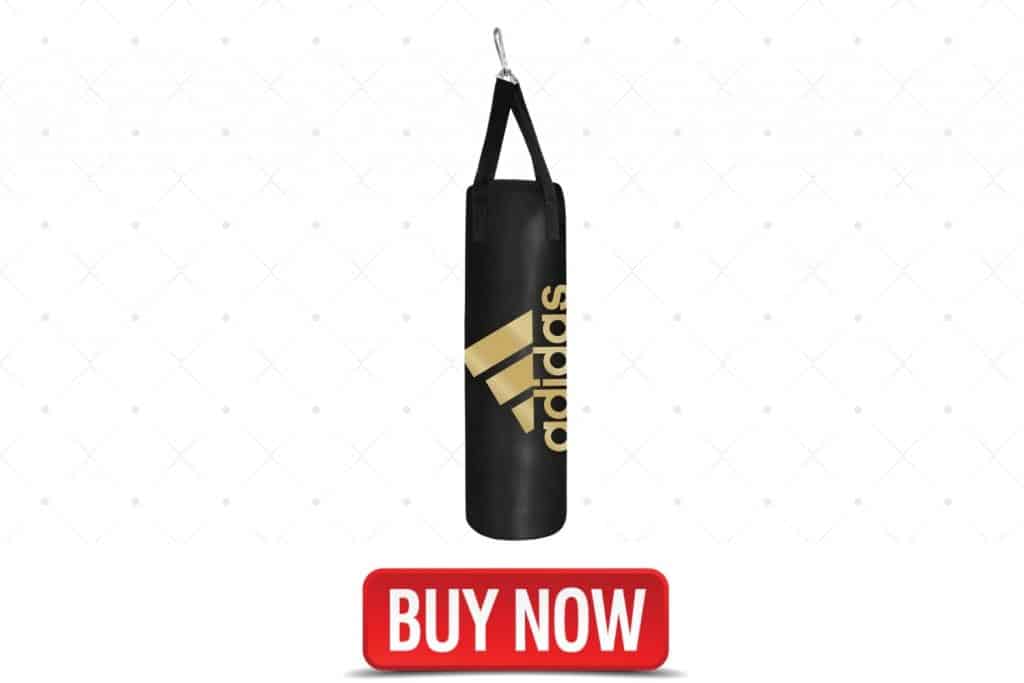 best home exercise heavy bag